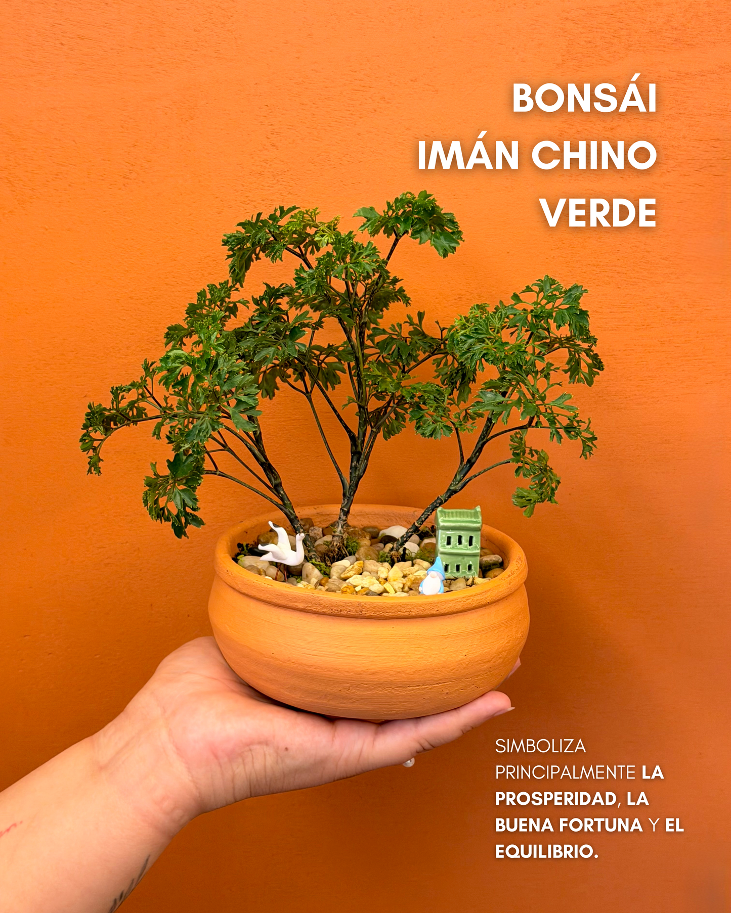 Bonsai Imán Chino verde
