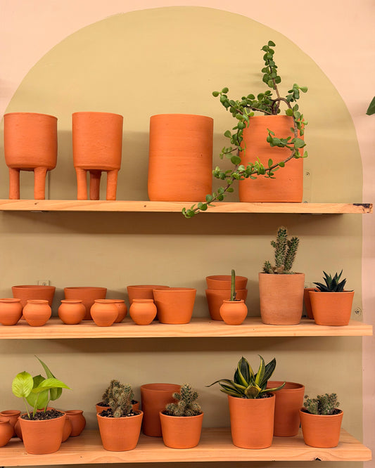 TERRA PEQUEÑA
