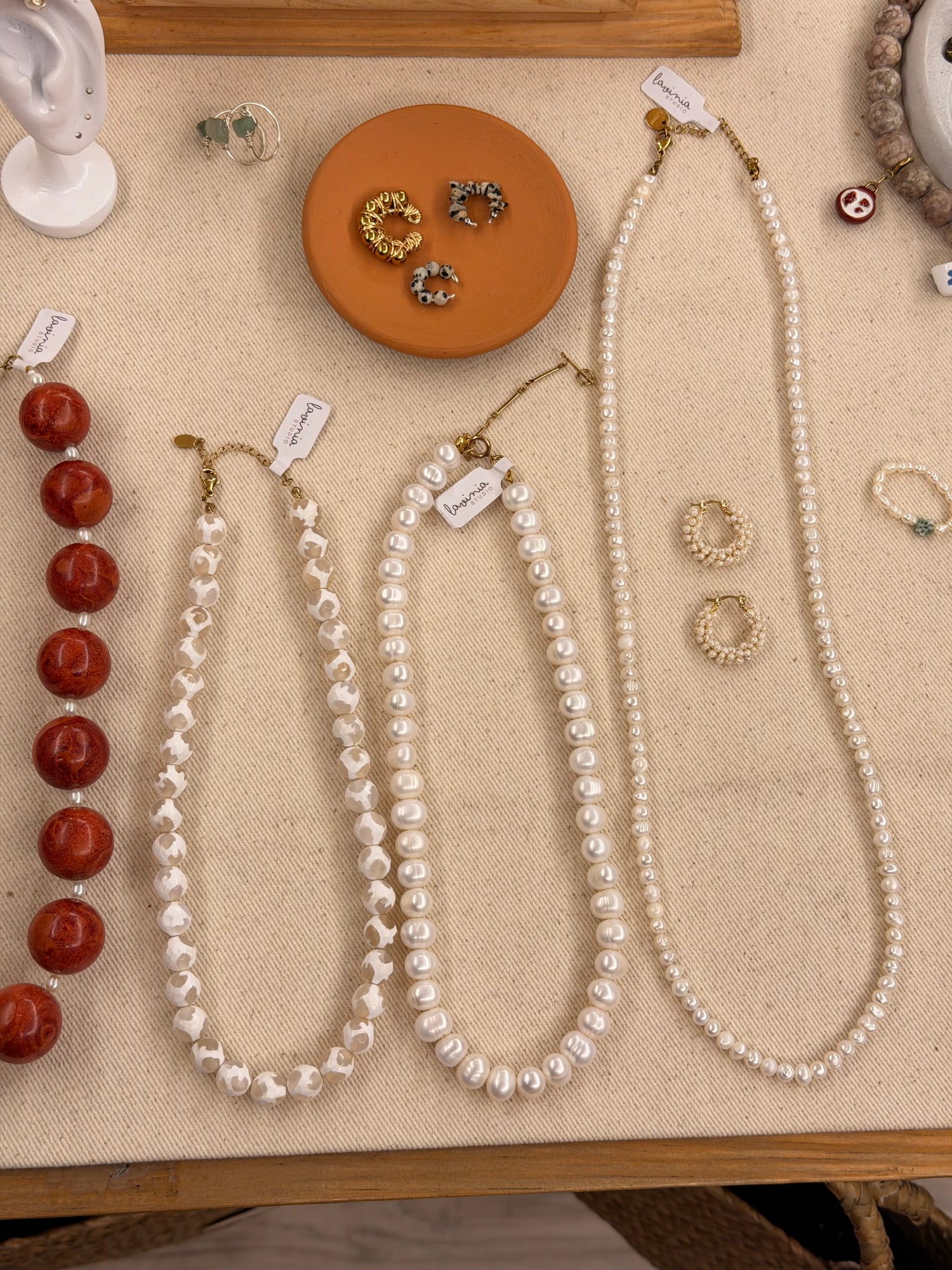 Collares & Accesorios