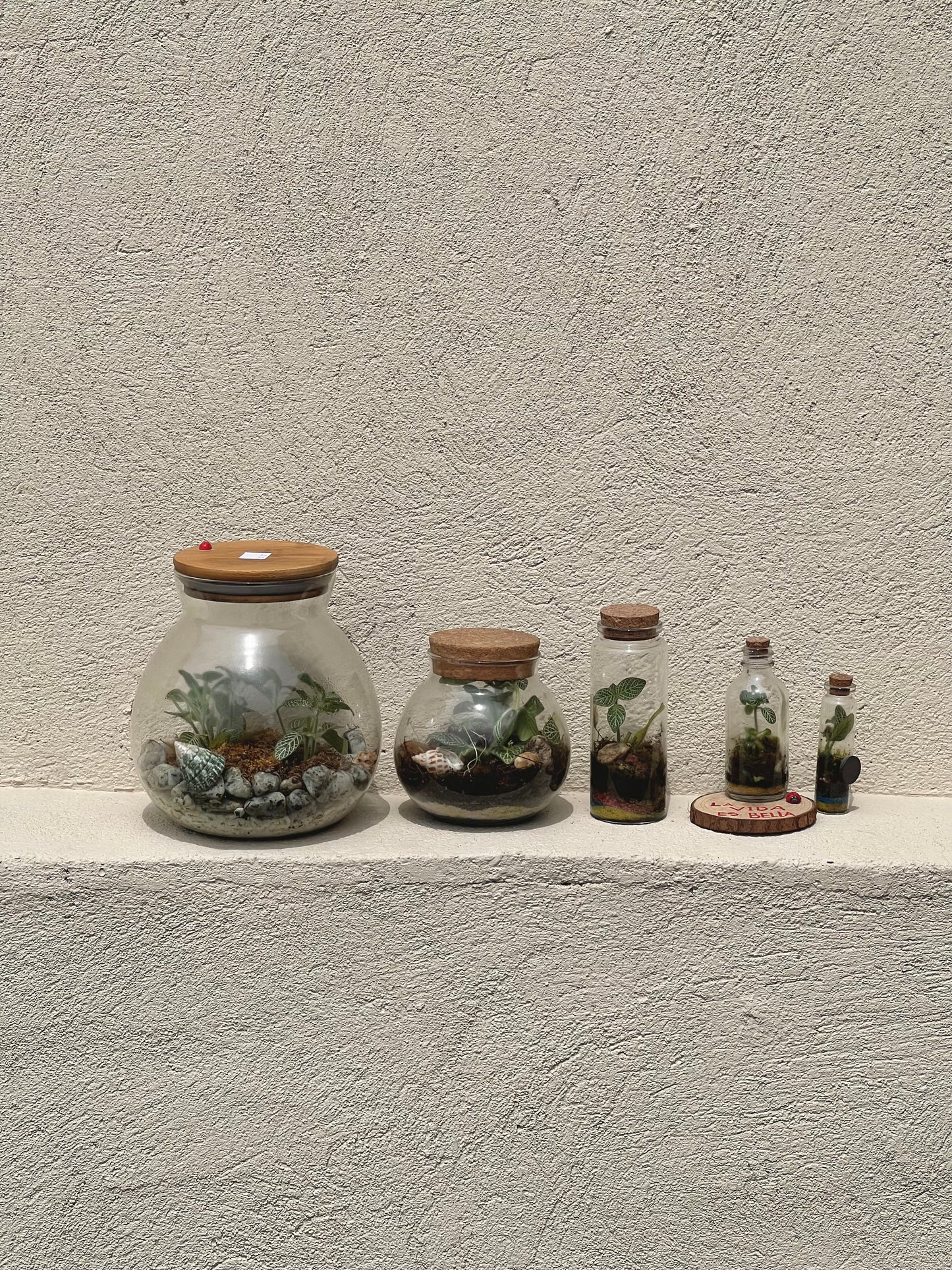 Terrarios