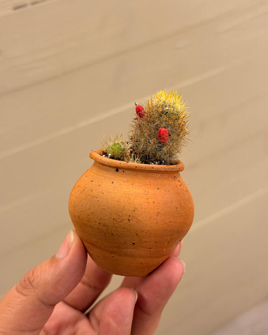 MINI JARRON DE BARRO