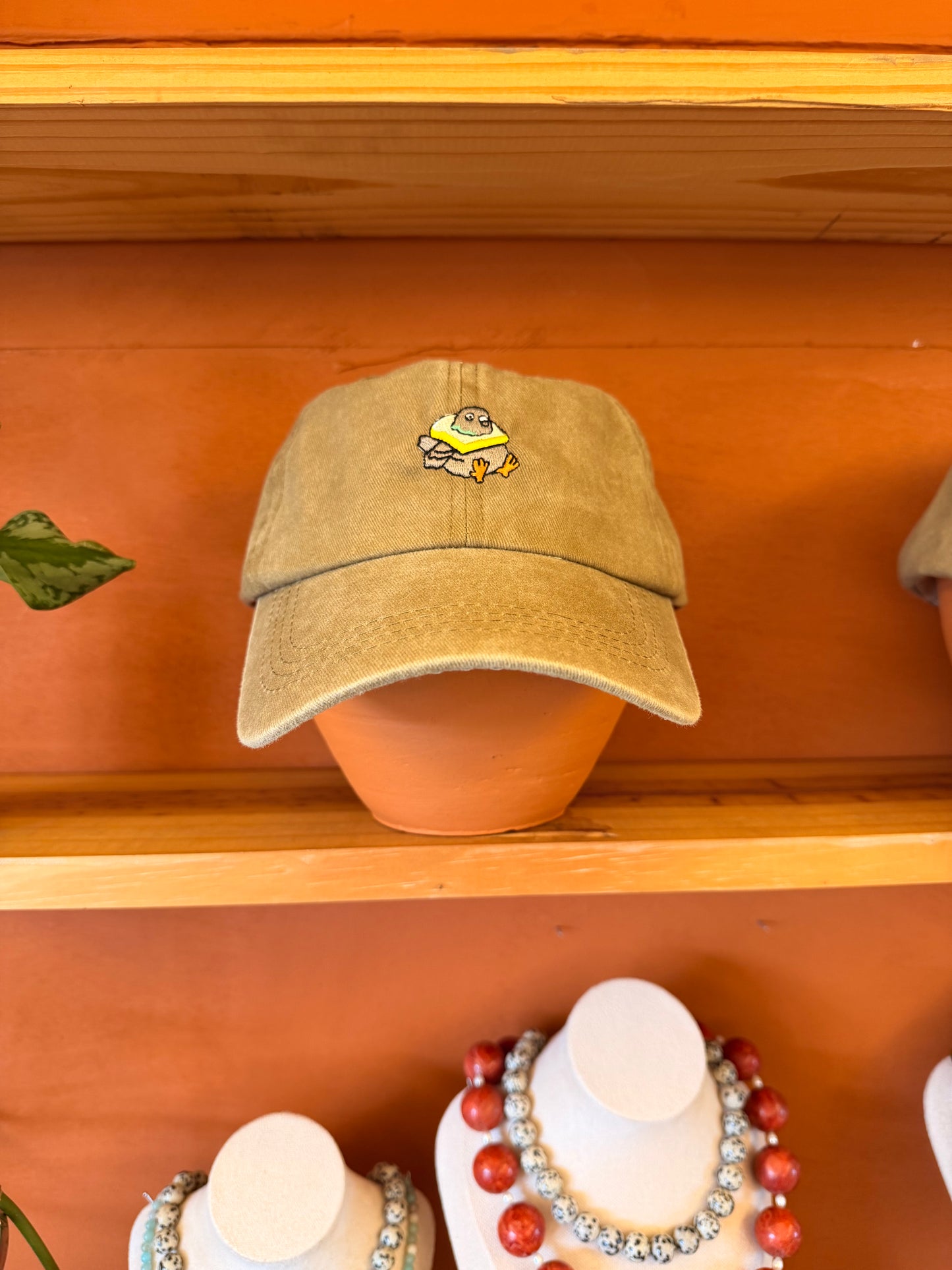 Gorras