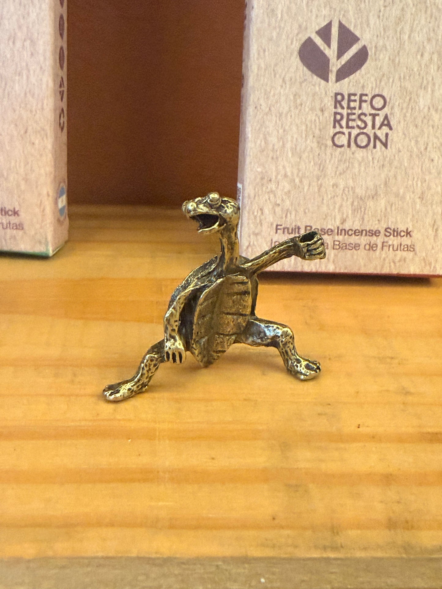 Porta incienso tortuga